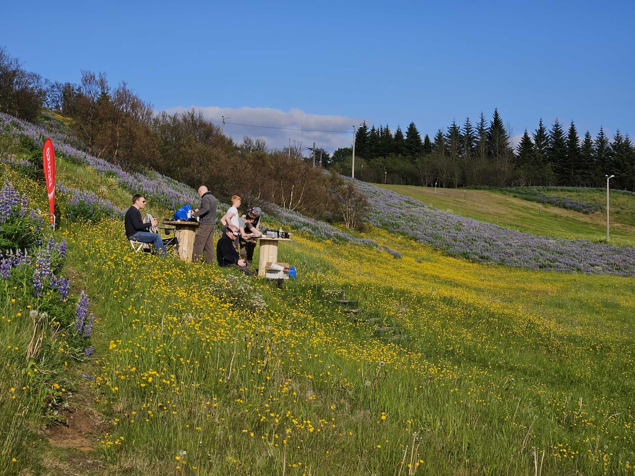 Kappflug meðlimir við flugstjórnaborð á grasblettum með lúpínu á Íslandi
